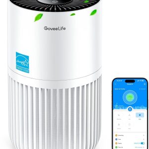 GoveeLife Mini Air Purifier for Bedroom, HEPA Smart Filter Air Purifier with App Alexa Control for Pet Hair, Odors, Pollen, Smoke, Portable Air Cleaner with 3 Speeds, 2 Modes, Timer, Aroma for Home